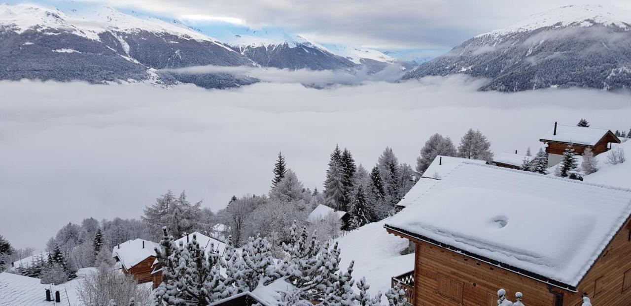 Les Collons1800- Bel 2pieces-4 Pers-piscine-sauna-parking Int-wifi Gratuit Apartment *