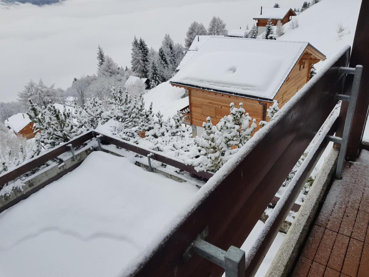 Les Collons1800- Bel 2pieces-4 Pers-piscine-sauna-parking Int-wifi Gratuit Vex